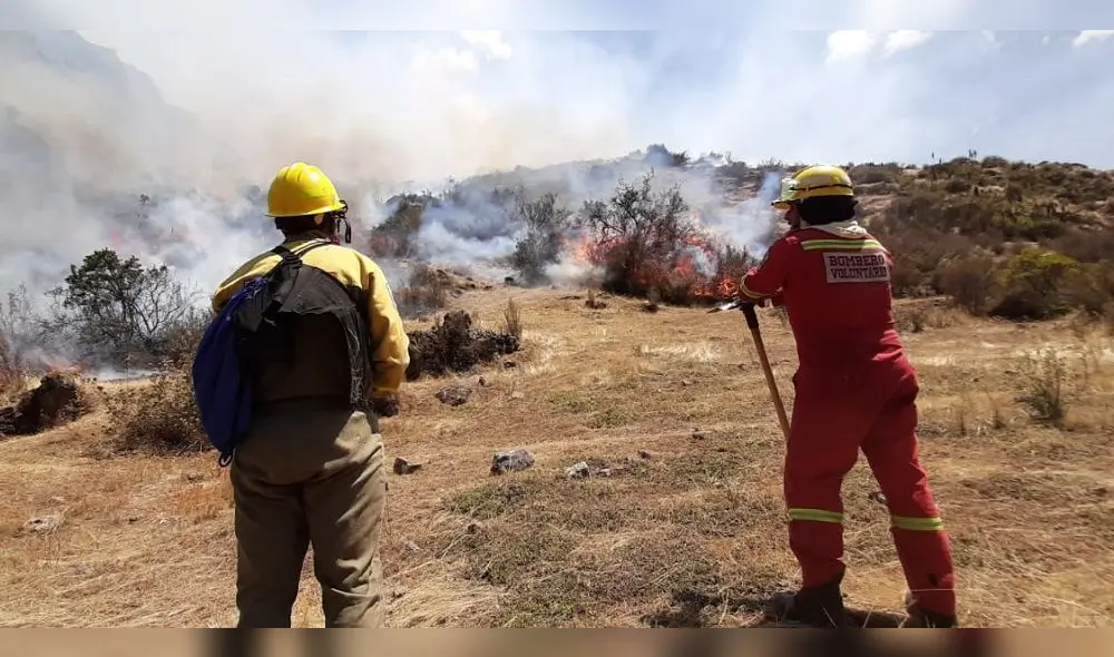 Brigadistas luchan por apagar los incendios forestales iniciados ayer en siete zonas de Cusco.