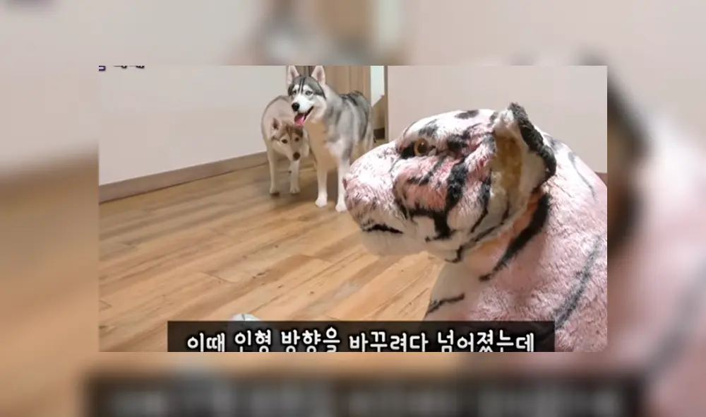 Desliza hacia la izquierda para ver las imágenes del divertido video viral de Facebook.