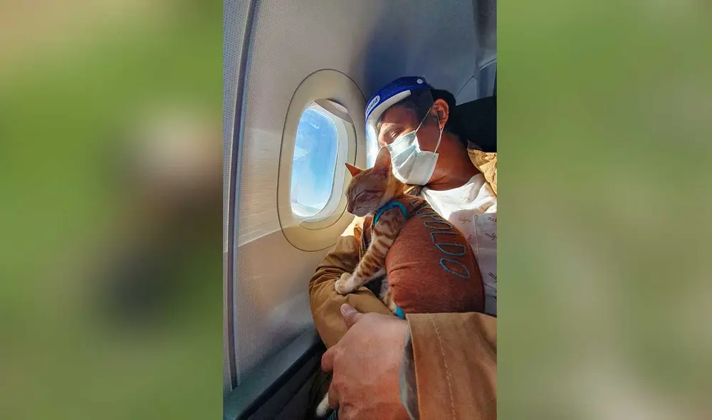 Desliza las imágenes para conocer un poco más de este gatito que se ha vuelto famoso en TikTok y otras redes sociales. Foto: captura de Instagram/ soyelgatoleopoldo Desliza las imágenes para conocer un poco más de este gatito que se ha vuelto famoso en TikTok y otras redes sociales. Foto: captura de Instagram/ soyelgatoleopoldo