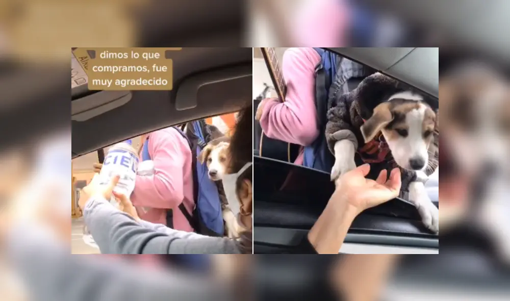 Desliza las imágenes para ver más sobre este conmovedor gesto que tuvo una joven. (Foto: captura / TikTok) Desliza las imágenes para ver más sobre este conmovedor gesto que tuvo una joven. (Foto: captura / TikTok)