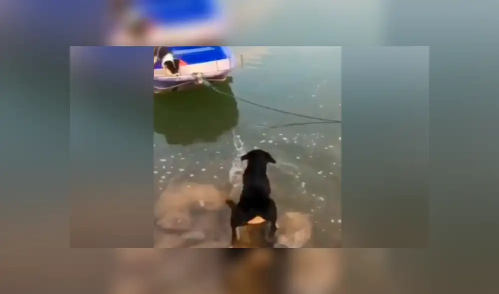 Desliza para ver los momentos más emotivos del video que se hizo viral en Facebook.