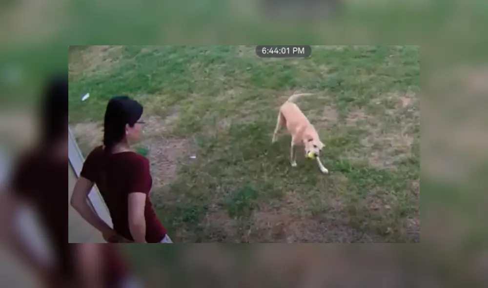 Desliza hacia la izquierda para ver las imágenes del viral de YouTube.