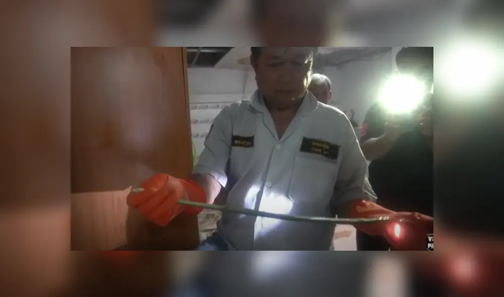 Desliza hacia la izquierda para ver las imágenes del viral de YouTube. Foto: Captura.