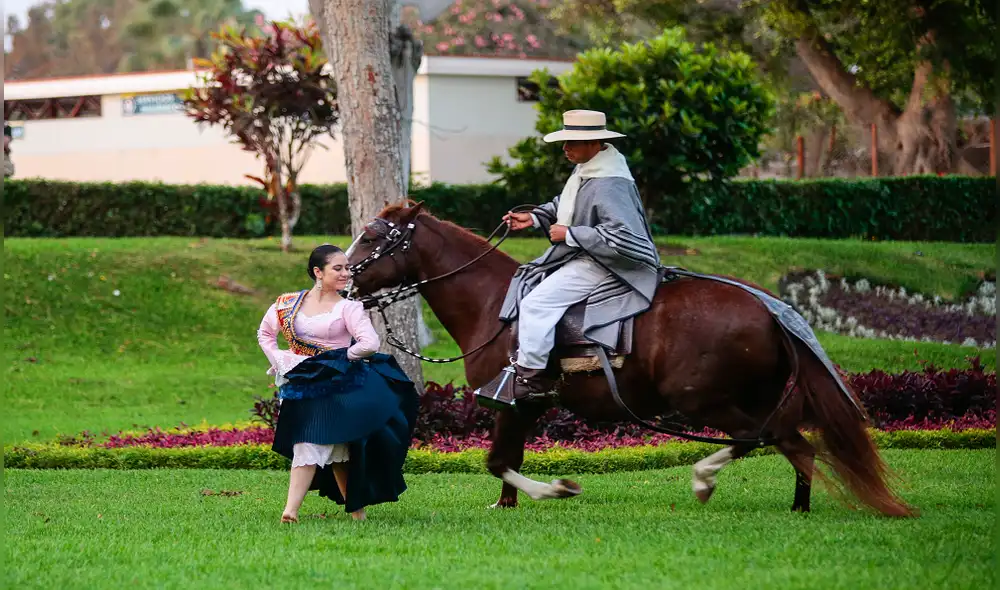 300 caballos competirán en el LXX Concurso Norperuano del Caballo Peruano de Paso en Chiclayo 300 caballos competirán en el LXX Concurso Norperuano del Caballo Peruano de Paso en Chiclayo