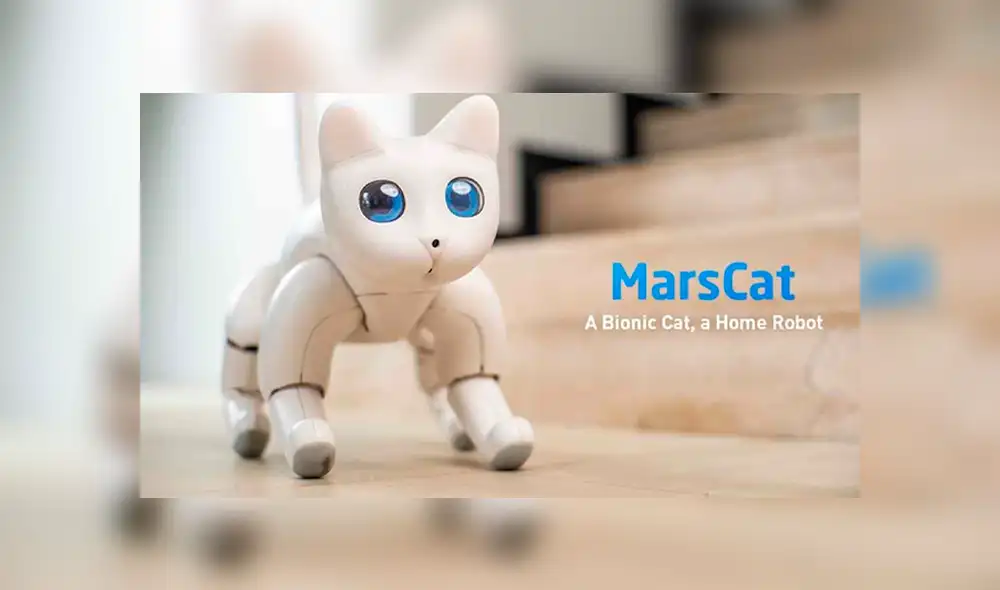 Desliza a la izquierda para descubrir este tierno robot. Desliza a la izquierda para descubrir este tierno robot.