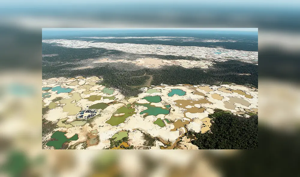 Alerta. La Amazonía sufre su peor crisis ambiental. (Foto: Aldair Mejía) Alerta. La Amazonía sufre su peor crisis ambiental. (Foto: Aldair Mejía)
