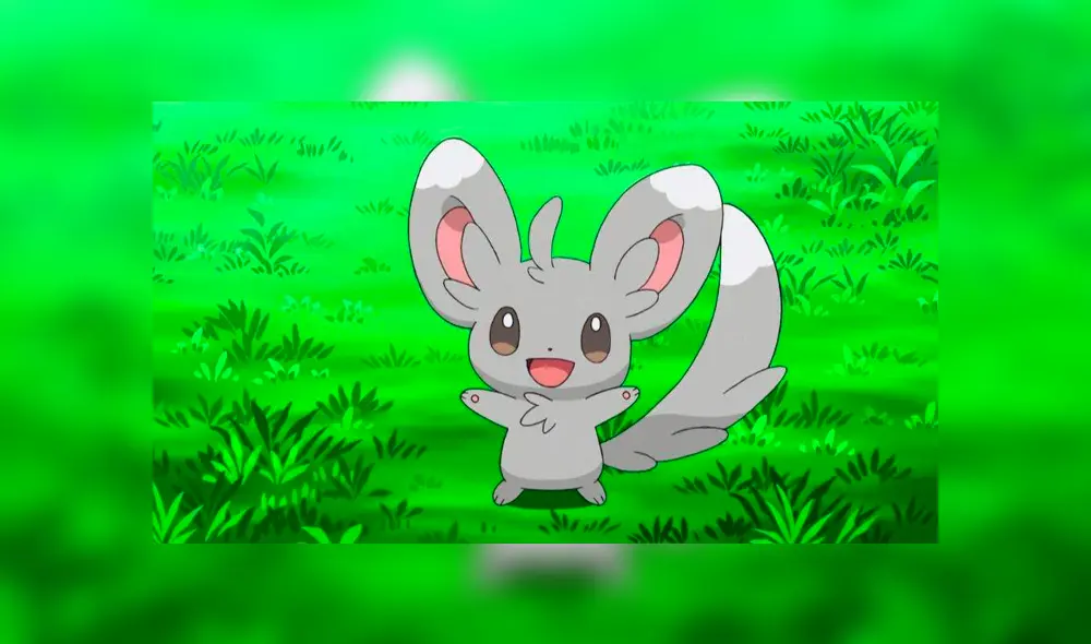 Minccino tendrá investigación especial en Pokémon GO.