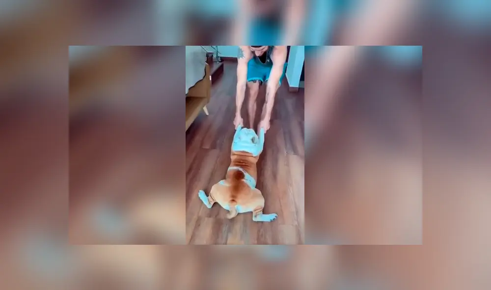 Desliza las imágenes hacia la izquierda para apreciar el comportamiento de un perro para evitar bañarse. Foto: Captura.