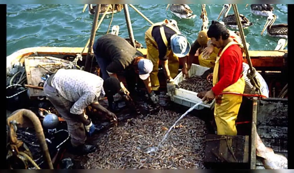 Pescadores advierten mal uso de recursos pesqueros Pescadores advierten mal uso de recursos pesqueros