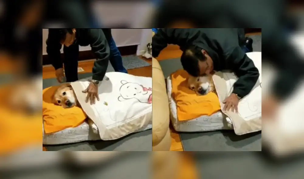 Desliza hacia la izquierda para ver más imágenes de esta conmovedora escena. (Foto: captura / TikTok)