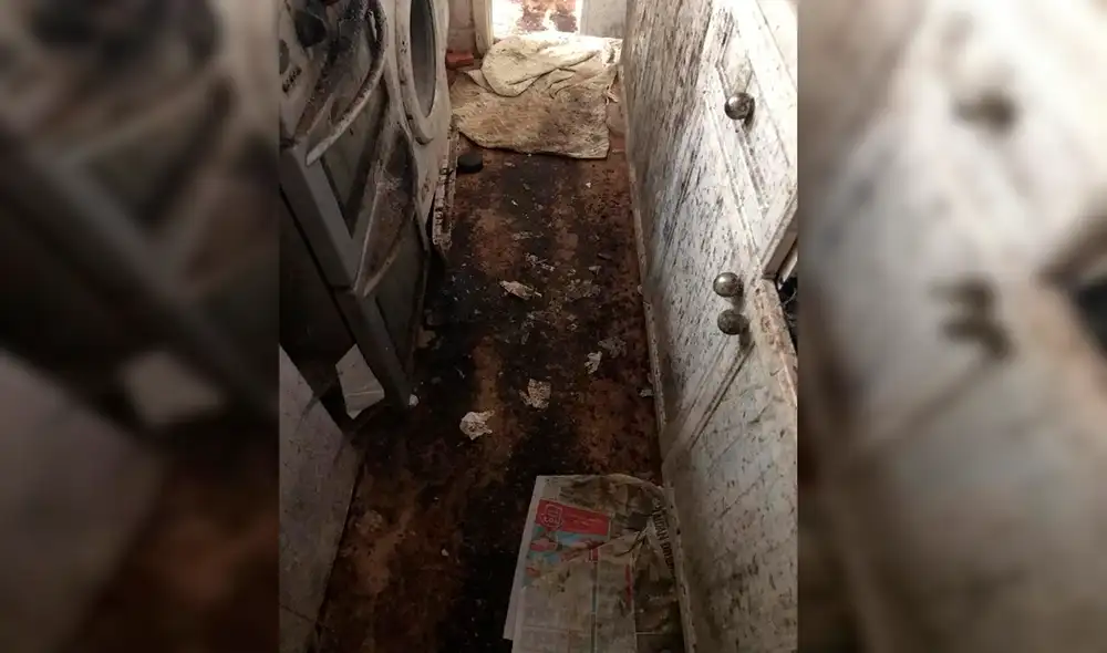 Inglaterra - vivienda - Facebook - viral Inglaterra - vivienda - Facebook - viral