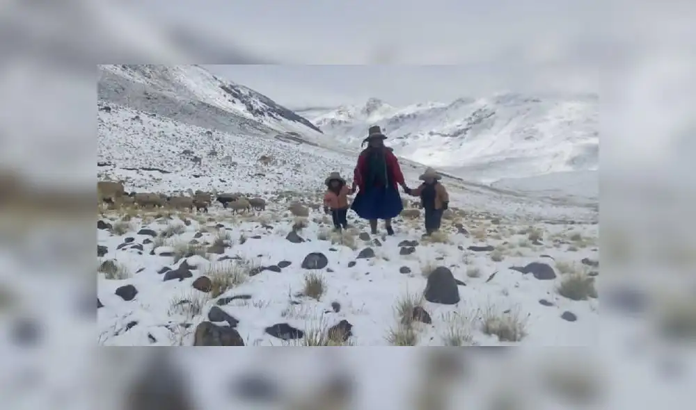 Ejecutivo declara en emergencia a distritos de regiones del sur