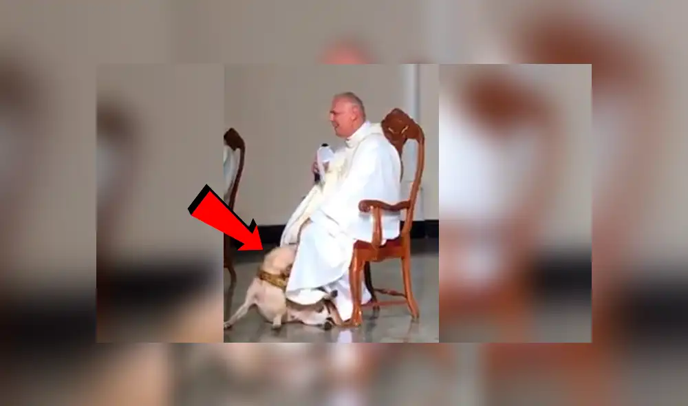 Facebook viral: perro irrumpe a párroco durante misa y la reacción de religioso asombra a todos [VIDEO]