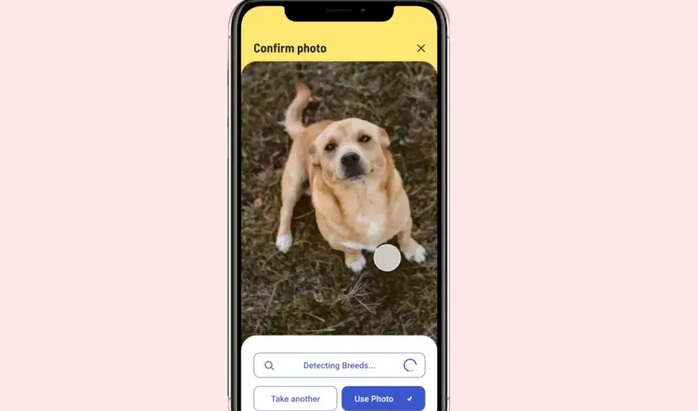 La aplicación usará la inteligencia artificial para proveer listados de perros rescatados que se adapten a las familias y así evitar que los adoptantes devuelvan a las mascotas. Foto: MyHooman La aplicación usará la inteligencia artificial para proveer listados de perros rescatados que se adapten a las familias y así evitar que los adoptantes devuelvan a las mascotas. Foto: MyHooman