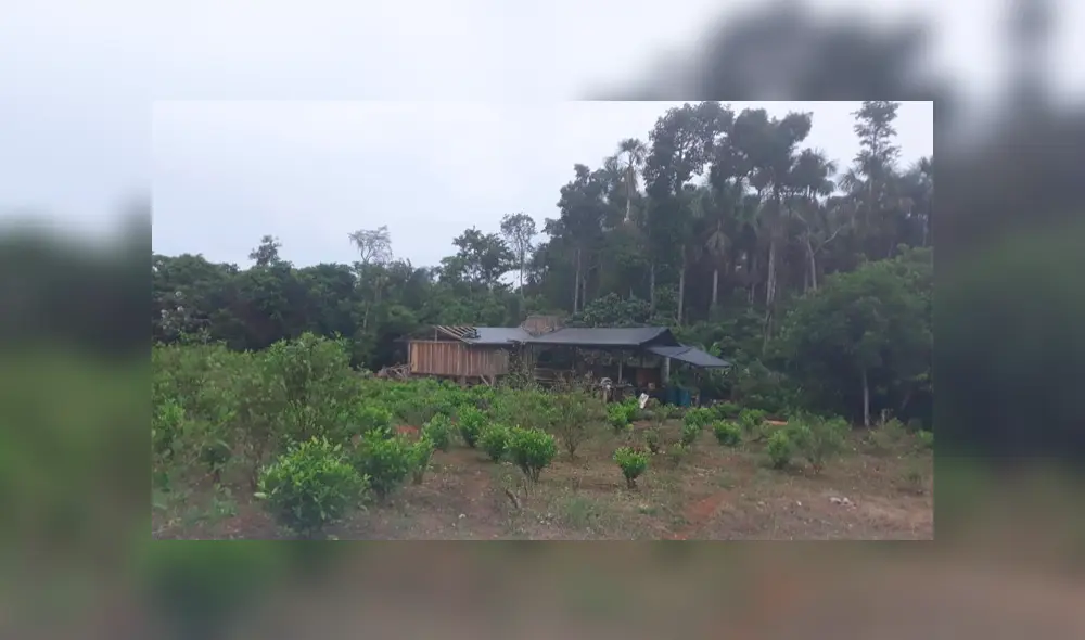 Loreto: FF.AA. y PNP dan duro golpe al narcotráfico [VIDEO]