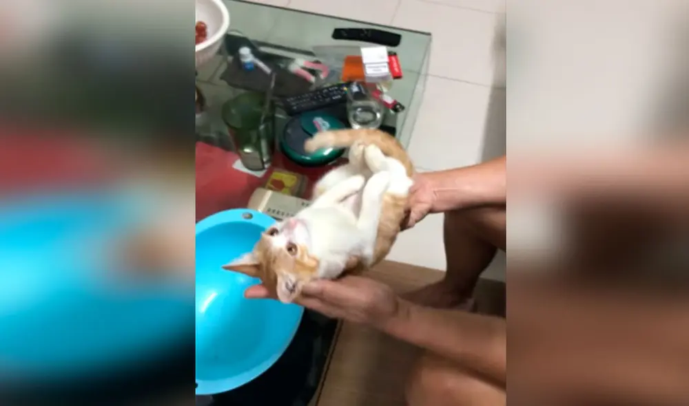 Desliza las imágenes para conocer los consejos que le dio un padre a su hijo para poder cuidar a su futuro bebé. Foto: captura de YouTube