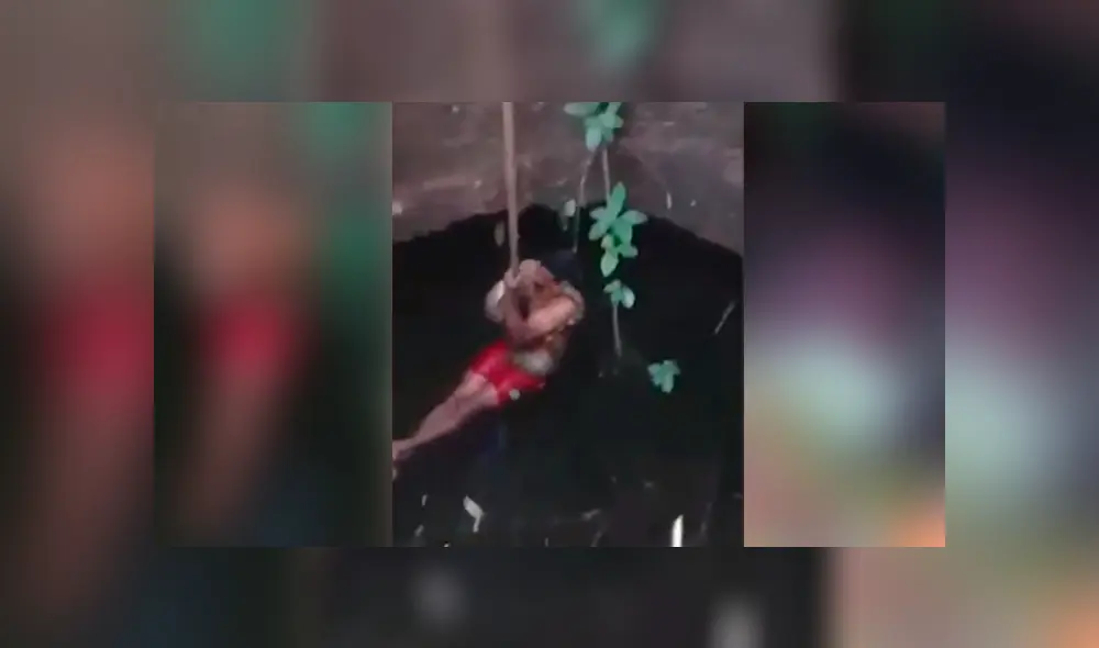 Desliza hacia la izquierda para ver el momento en que un osado hombre atrapa a una serpiente pitón, escena viral de YouTube. Desliza hacia la izquierda para ver el momento en que un osado hombre atrapa a una serpiente pitón, escena viral de YouTube.