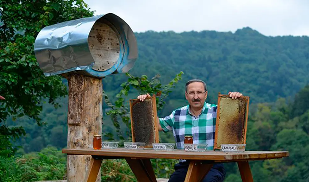 Descubre que osos le robaban su miel y decide ‘contratarlos’ como catadores [VIDEO]