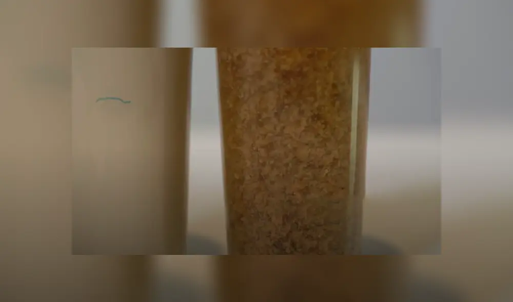 Desliza hacia la izquierda para ver el increíble experimento que es viral en YouTube y otras redes sociales. Desliza hacia la izquierda para ver el increíble experimento que es viral en YouTube y otras redes sociales.