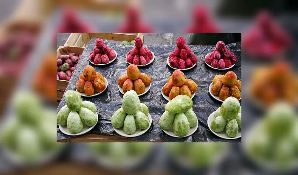 La tuna y sus beneficios para nuestra salud