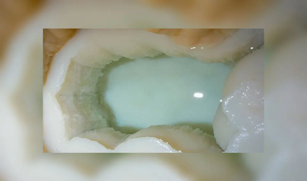 La piscina natural fue hallada en la Cueva Lechuguilla, descubierta por el Parque Nacional de las Cavernas de Carlsbad. Foto: Parque Nacional de las Cavernas de Carlsbad