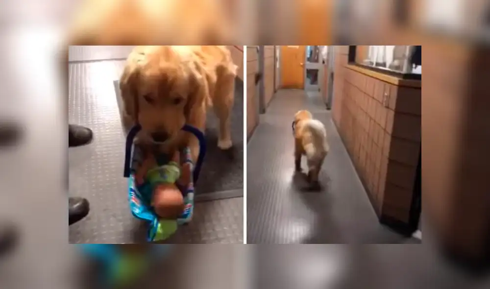 Los agentes nunca imaginaron que uno de los suyos robaría los juguetes que planeaban darle a una fundación de caridad. Foto: captura.