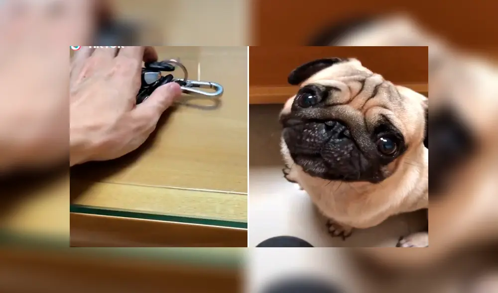 Desliza para ver los momentos más tiernos del video que se hizo viral en Facebook. Desliza para ver los momentos más tiernos del video que se hizo viral en Facebook.