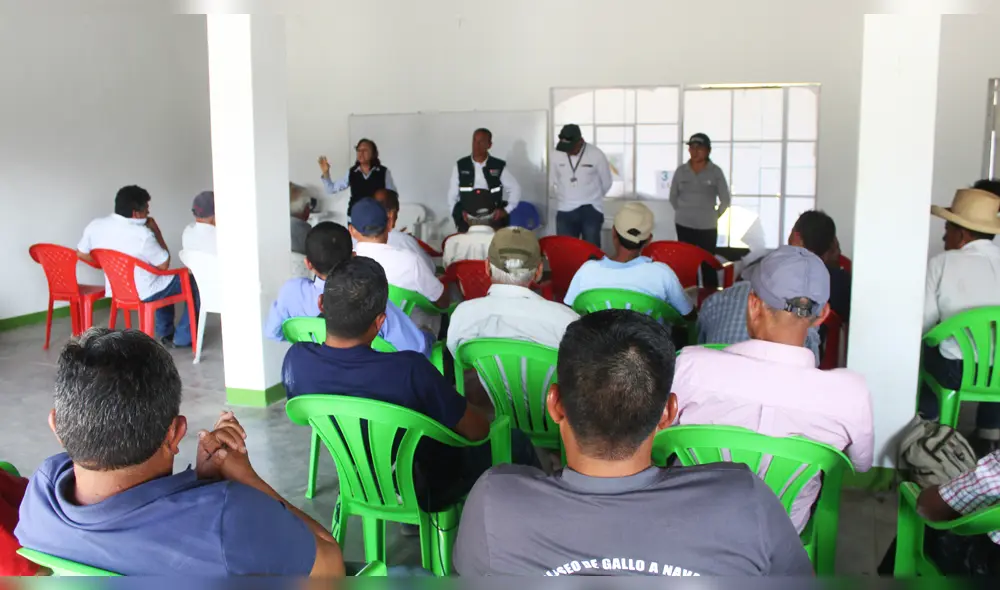 Senasa se reunión con productores de mango. Senasa se reunión con productores de mango.