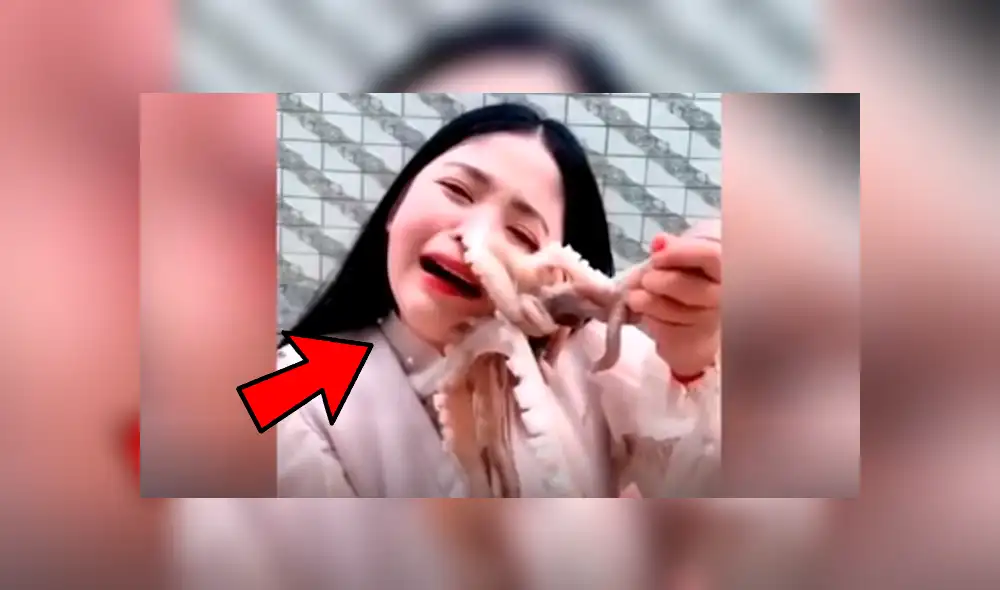 YouTube viral: chica pretendió comer un pulpo vivo y este la ataca de la peor forma [VIDEO]