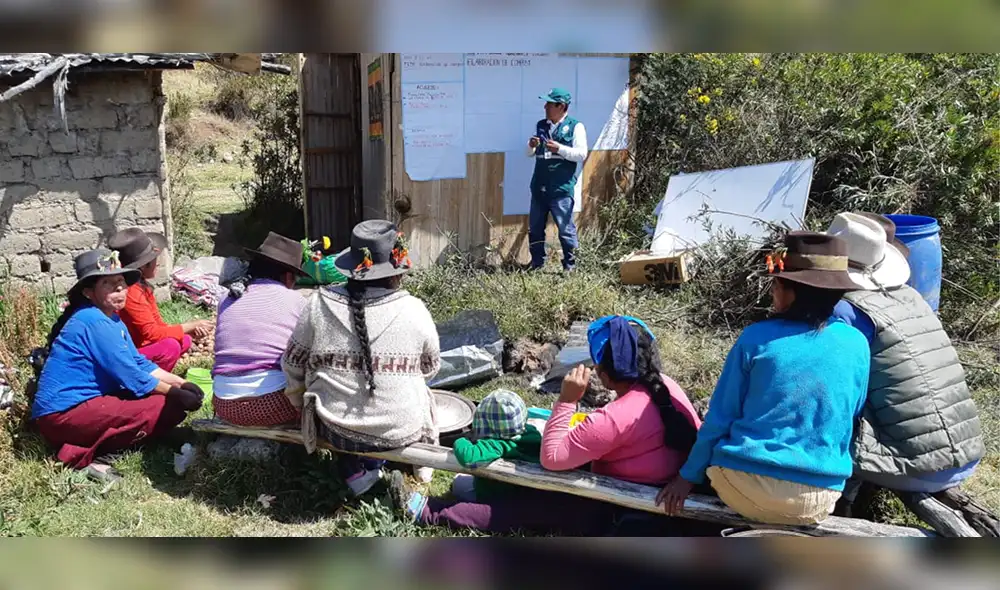 Ayacucho: agricultores aprenden el manejo integrado de plagas de la papa