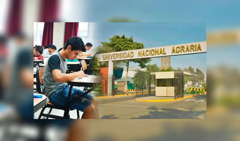 Revisa los resultados del examen de admisión de la Universidad Nacional Agraria La Molina. Foto: Composición Revisa los resultados del examen de admisión de la Universidad Nacional Agraria La Molina. Foto: Composición