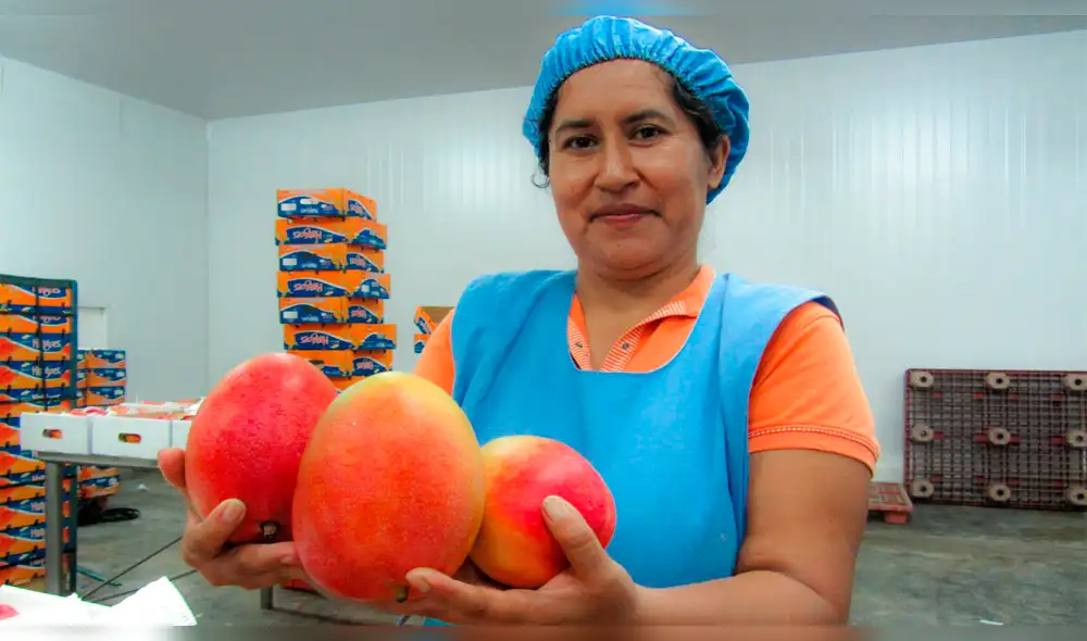 Productos de Áncash continuarán siendo exportados. Productos de Áncash continuarán siendo exportados.