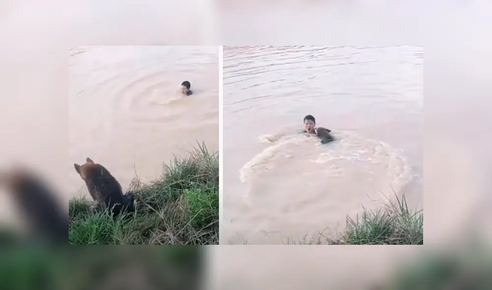 Desliza hacia la izquierda para ver las imágenes del viral de YouTube. Foto: Captura. Desliza hacia la izquierda para ver las imágenes del viral de YouTube. Foto: Captura.