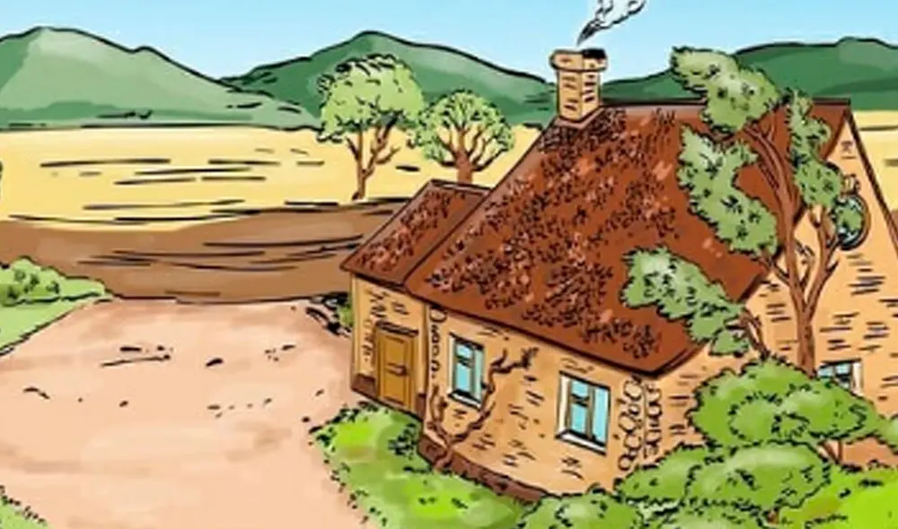 Desliza las imágenes hacia la izquierda para conocer la respuesta correcta del reciente desafío de Facebook. Foto: Milenio/ Referencial