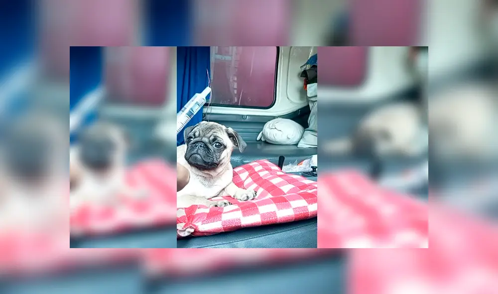 Desliza para ver los detalles del video viral publicado en Facebook. Foto: Captura.