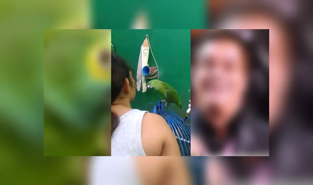 Desliza para ver los detalles del video viral publicado en Facebook. Foto: Captura.