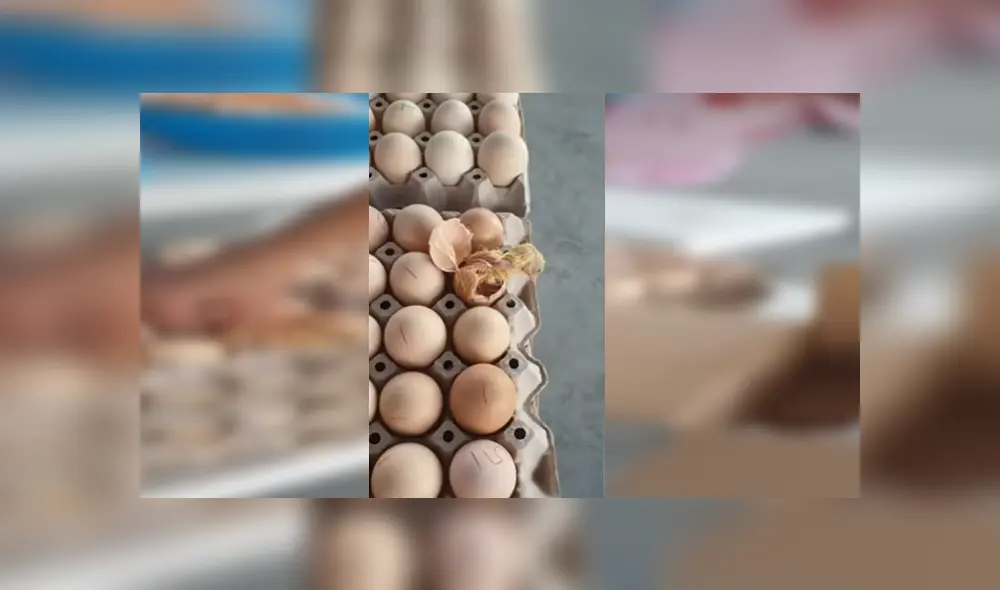 Desliza para ver los detalles del video viral publicado en YouTube. Foto: Captura.