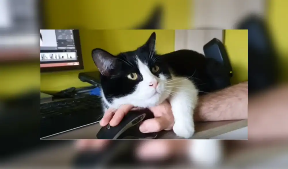 Desliza hacia la izquierda para ver más del video viral. Desliza hacia la izquierda para ver más del video viral.