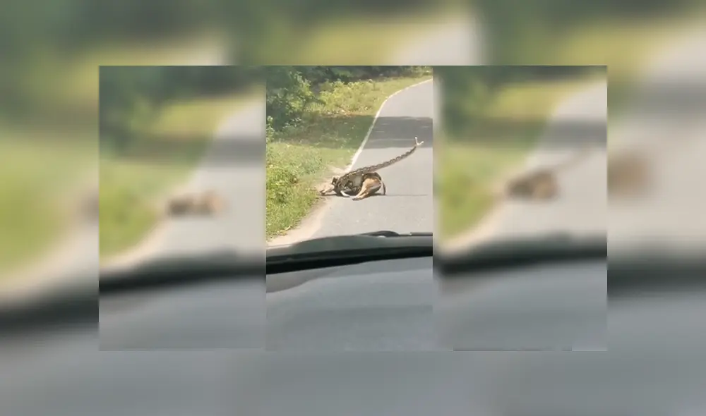 Desliza para ver el desenlace de este video viral de YouTube. Foto: Captura. Desliza para ver el desenlace de este video viral de YouTube. Foto: Captura.