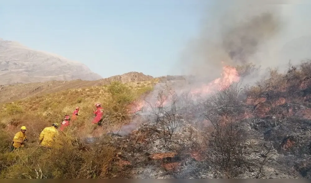 Luego de incendio forestal, hallan cadáver de víctima. Foto: Gore Cusco.