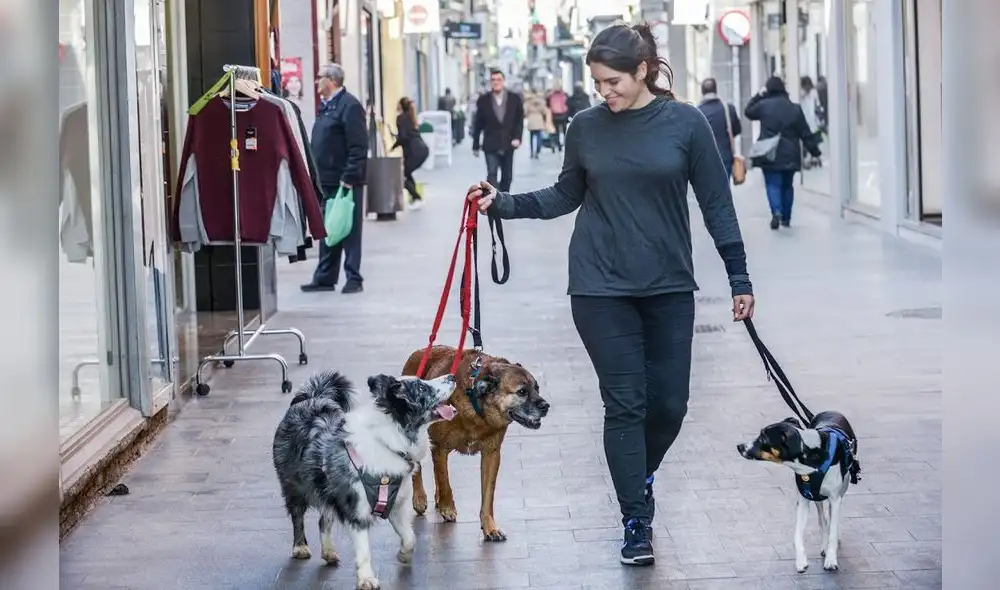 Cinco ideas de negocios que te generarán un ingreso extra este verano