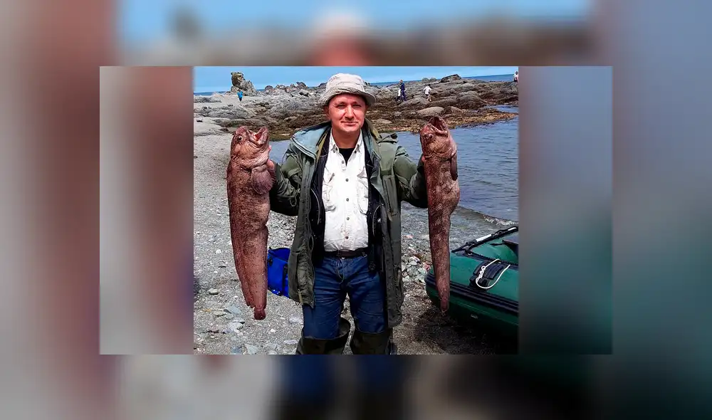 El hombre mostraba triunfante el pez que había capturado sin imaginar que otro lo mordería en la espalda. Foto: captura