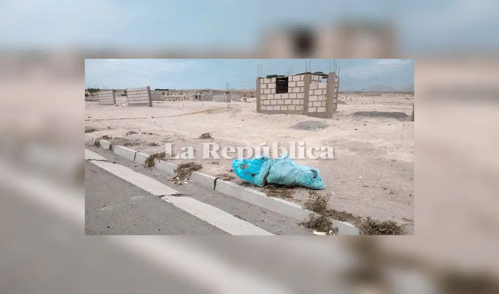 Arequipa: cadáveres hallados en costales pertenecen a madre e hijo de 13 años