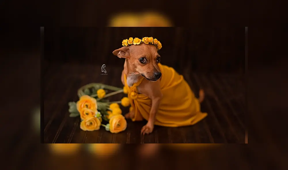 Desliza para ver la sesión fotográfica que se volvió viral en Facebook. Foto: Captura.