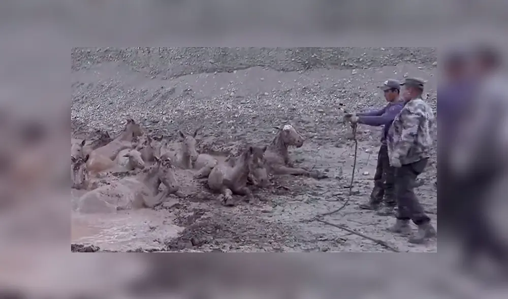 Desliza la imagen publicada en YouTube para verlas todas. Foto: captura