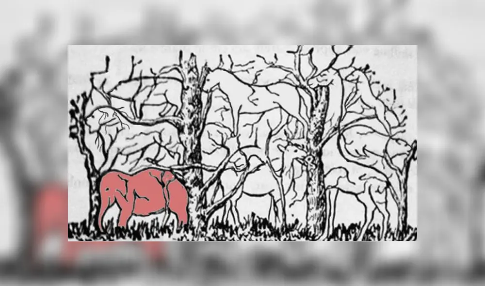 Desliza las imágenes para ver todas las respuestas de este complejo reto visual que intenta determinar el tipo de personalidad que tienes'. Foto: Facebook Desliza las imágenes para ver todas las respuestas de este complejo reto visual que intenta determinar el tipo de personalidad que tienes'. Foto: Facebook