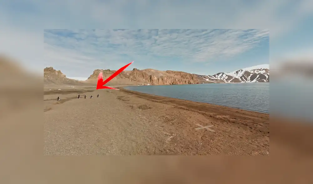 Google Maps viral: usuario capta una emocionante escena mientras 'recorría' la Antártida [FOTOS]