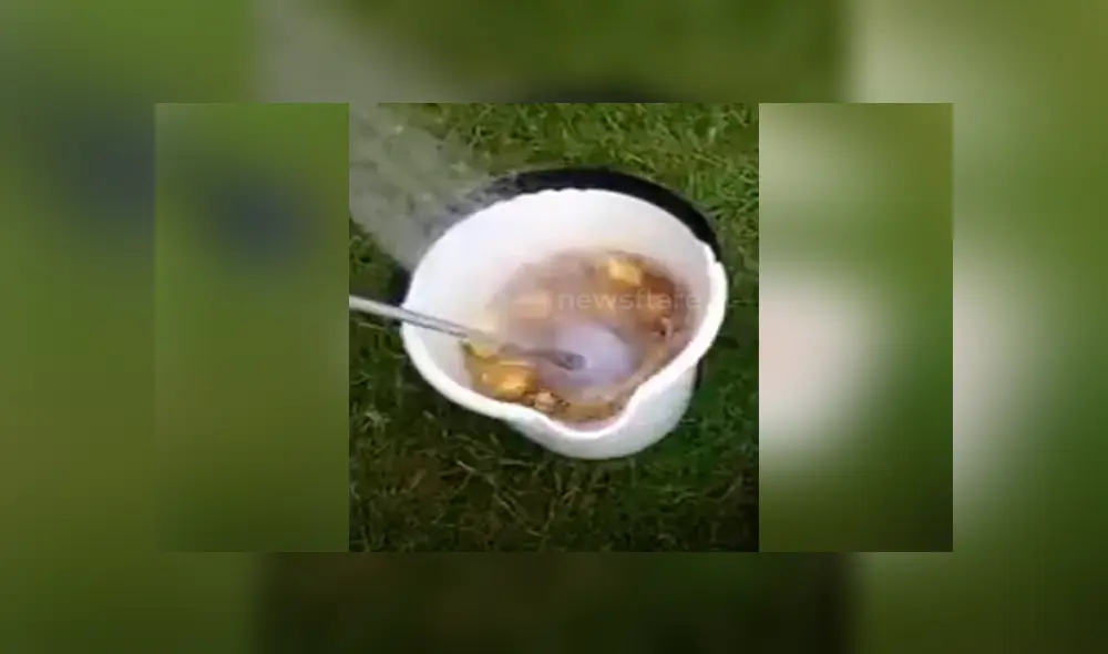 Desliza para seguir viendo este increíble truco que se hizo viral en YouTube, Desliza para seguir viendo este increíble truco que se hizo viral en YouTube,