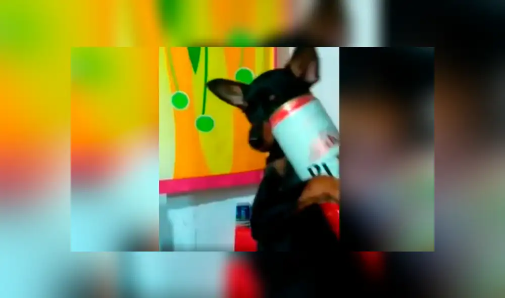 Desliza hacia la izquierda para ver más del video viral