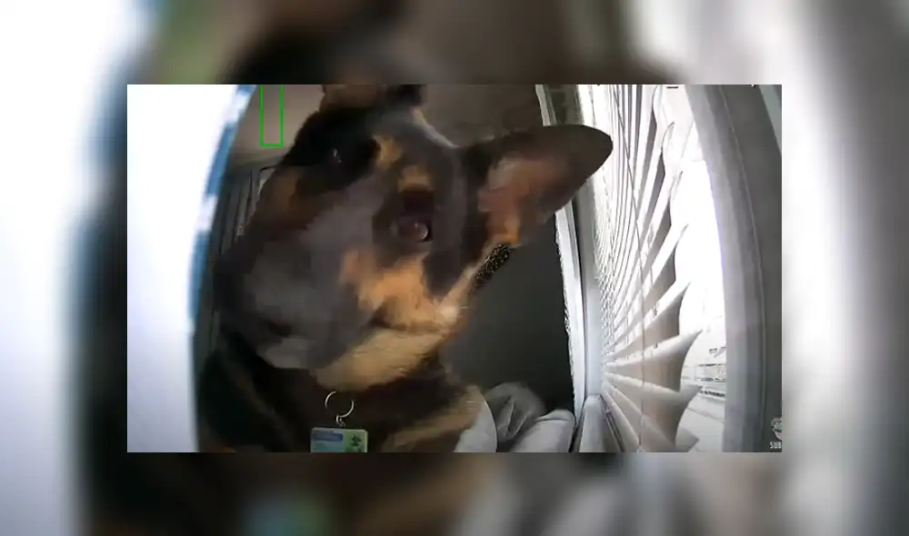 Desliza hacia la izquierda para ver las divertidas imágenes del viral de Facebook. Desliza hacia la izquierda para ver las divertidas imágenes del viral de Facebook.